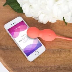 We-Vibe Boules De Geisha Télécommandées Bloom - We Vibe -Maison Close Magasin bloommoodiphone wv 1