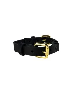 Choker En Cuir - Double Buckled Choker