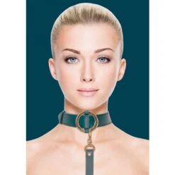 Collier Avec Laisse En Simili Cuir - Vert Et Doré