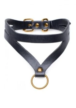 Choker En Simili Cuir Noir Et Doré - Baddie
