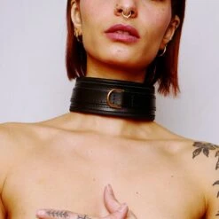 Collier Choker En Cuir Molletonné Et Attaches Dorées