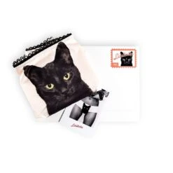 Culotte - Experienced Fighter -Maison Close Magasin experienced 2