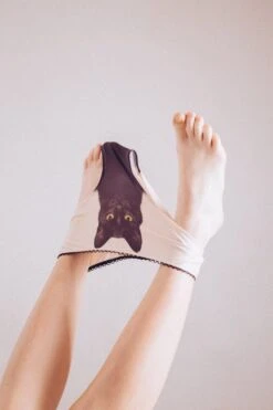 Culotte - Experienced Fighter