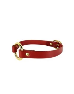 Choker O-Ring En Cuir Et Anneau Plaqué Or - Rouge Et Or