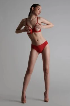 Maison Close Soutien-gorge Seins Nus - Le Petit Secret - Rouge -Maison Close Magasin sg seins nus noeud rouge ps 3