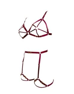 Soutien-gorge Harnais Avec Attaches Or - Cage O-ring Bra Bordeaux -Maison Close Magasin soutien gorge harnais cage bra bordeaux 3