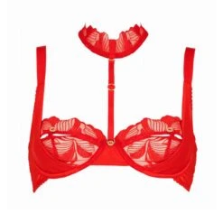 Soutien-gorge Avec Harnais Amovible - Libertine