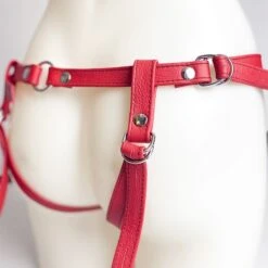 Harnais Pour Gode-ceinture Avec Attaches D-Ring - Cuir Souple Rouge -Maison Close Magasin strapon rouge ouvert anneaux grosplananneaux 1
